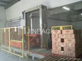 Case Palletizer 1