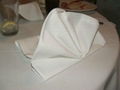 spun poly napkin