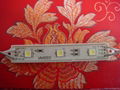 led smd module 2