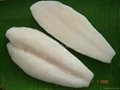 Catfish (pangasius) Fillet, Well-trimmed
