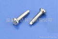 terminal screw