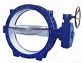 Flanged Butterfly Valve 2