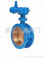 Pipe network butterfly valve 1