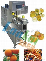 apple peeling machine