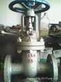 flange cast steel sluice valve 1