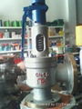 Cast steel relief valve  1