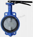 pin-less butterfly valve (two shaft) 1