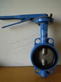 pin-less butterfly valve (two shaft) 2