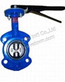 pin-less butterfly valve (two shaft) 3