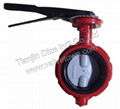 pin-less butterfly valve (two shaft) 4