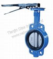 pin-less butterfly valve (one shaft) 1