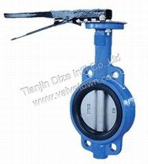 pin-less butterfly valve (one shaft)