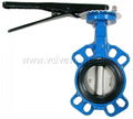 pin-less butterfly valve (one shaft) 2