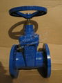 Non-rising Stem Gate Valve