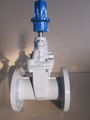 Non-rising Stem Gate Valve 4