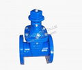 Non-rising Stem Gate Valve 5