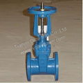 Rising stem gate valve 2