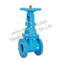 Rising stem gate valve 3