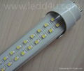 T8 LED tube light 1