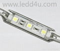 LED module light(DC12V,0.72W3SMD5050,Waterproof)