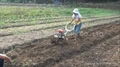 CY80 Hand tractor (100cm tilling width) 4