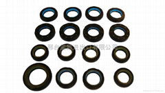 Direction oil seal