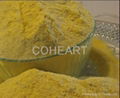 Corn Gluten Meal,corn flour