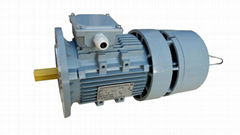 YEJ Series Three Phase AC Brake Motor