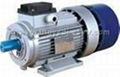 YEJ Series Three Phase AC Brake Motor   2