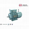 YEJ Series Three Phase AC Brake Motor   3