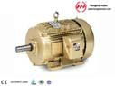 GOST series three-phase asynchronous electric motors