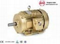 GOST series three-phase asynchronous electric motors