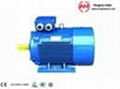 HMI (Y2) series cast iron housing motor  1