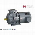 YVP Series Three Phase Frequency-Variable & Speed-Regulation Motor 1