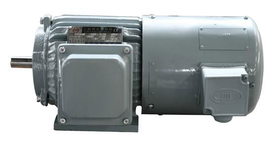 YVP Series Three Phase Frequency-Variable & Speed-Regulation Motor 2