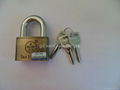 padlockSL-3360 1