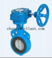 Manual-operated Flanged Concentric Butterfly Valve 3