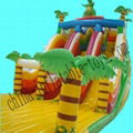 Inflatable Slide 4