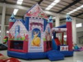 Inflatable Castle  2