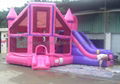 Inflatable Castle  3