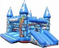 Inflatable Castle  5