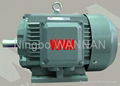 YE3 SERIES SUPER-HIGH EFFICIENCY THREE PHASE INDUCTION MOTORS