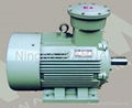 YB2 SERIES EXPLOSION-PROOF THREE-PHASE INDUCTION MOTORS