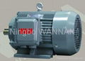 YD SERIES POLE-CHANGING THREE PHASE INDUCTION MOTORS 1