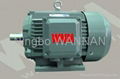 Y2 SERIES THREE PHASE INDUCTION MOTOR 1