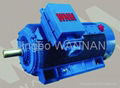 Y2 SERIES HIGH-VOLTAGE THREE PHASE INDUCTION MOTOR