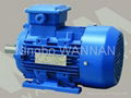 YZL SERIES ALUMINUM CASTING FRAME MOTORS 1