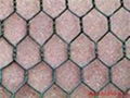 gabion mesh  2