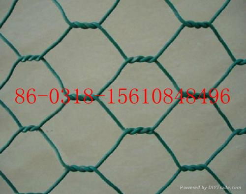 hexagonal  mesh