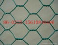 hexagonal  mesh 